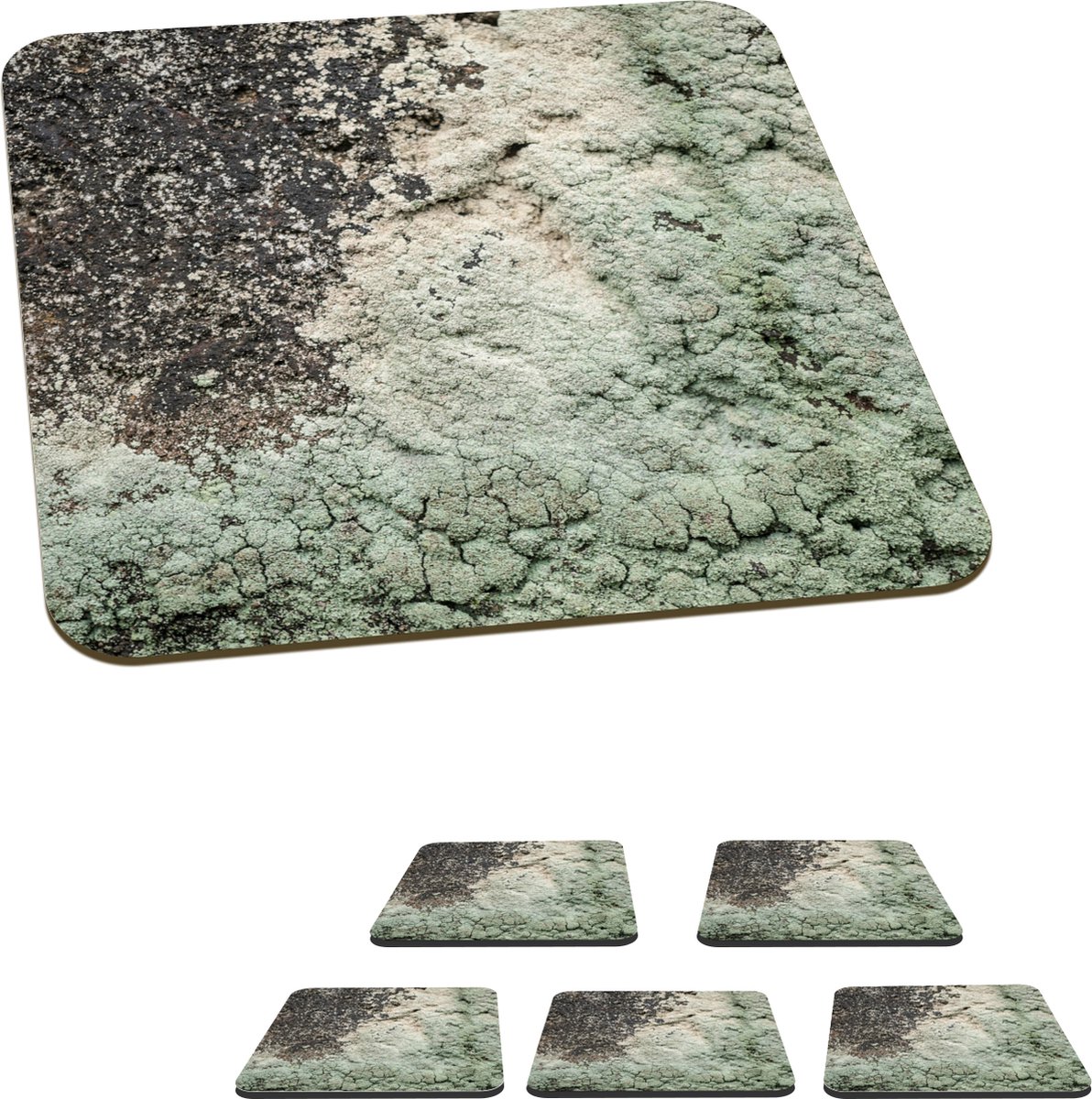Onderzetters voor glazen - Mos - Grijs - Groen - 10x10 cm - Glasonderzetters - 6 stuks