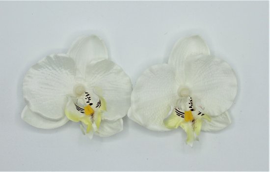 2 X BLOEMEN CLICK ORCHIDEE WIT