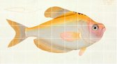 IXXI Yellow Fish - Wanddecoratie - Dieren - 180 x 100 cm