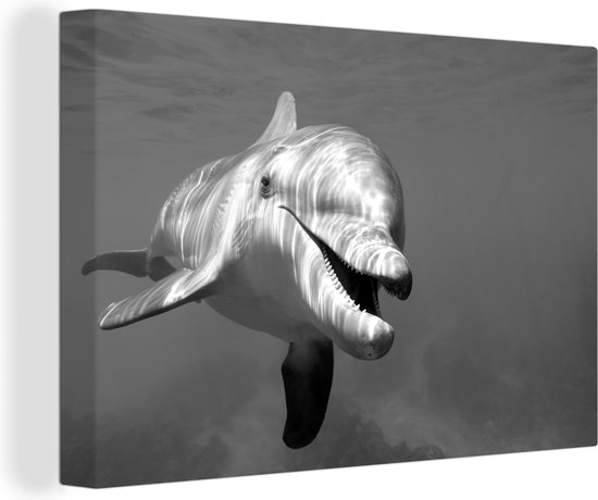 Canvas Schilderij Tuimelaar dolfijn onder water – zwart wit – 180×120 cm – Wanddecoratie XXL