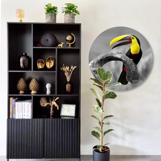 Cercle mural Toucan | 30cm | Décoration murale | Cercle de mur à l'intérieur | Forex | Peintures rondes