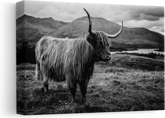 Artaza - Canvas Schilderij - Schotse Hooglander in de Heuvels - Zwart Wit - 30x20 - Klein - Foto Op Canvas - Canvas Print