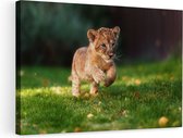 Artaza Peinture Sur Toile Jeune Bébé Lion Dans La Nature - Cub - 90x60 - Photo Sur Toile - Impression Sur Toile