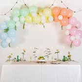 Pastelkleurige Ballonnenboog Set - 60 Ballonnen - Inclusief Ballonnentape, 20 lijmstippen, Papierlint, Met handige Instructieblad