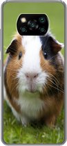 Geschikt voor Xiaomi Poco X3 NFC hoesje - Twee cavia's - Siliconen Telefoonhoesje