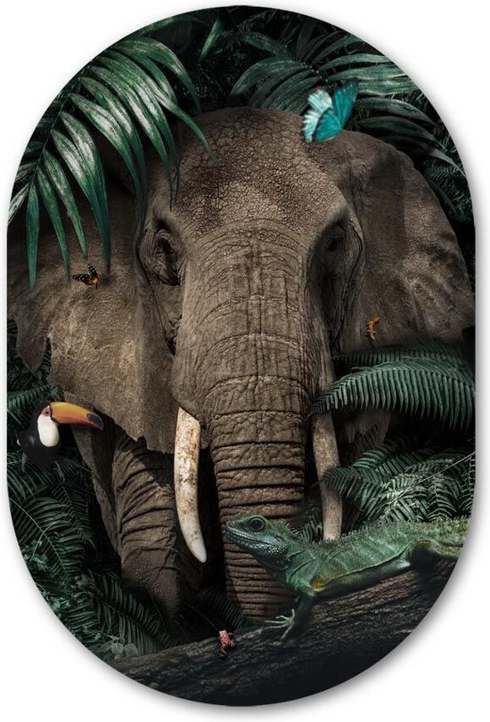 Wandovaal Jungle Elephant - WallCatcher | Geborsteld Aluminium 60x90 cm | Ovalen schilderij | Muurovaal Olifant in de jungle