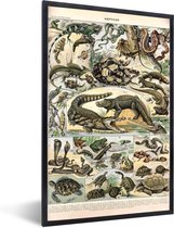 Fotolijst incl. Poster - Dieren - Natuur - Reptielen - 20x30 cm - Posterlijst