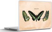 Laptop sticker - 13.3 inch - Vlinder - Dier - Insect - 31x22,5cm - Laptopstickers - Laptop skin - Cover