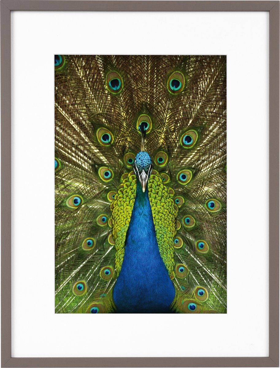Goldbuch Fotolijst Pino - Taupe - 20x30 cm (30x40 cm)
