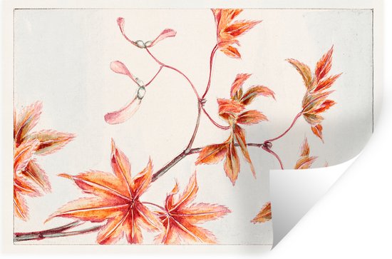Muurstickers - Sticker Folie - Bladeren - Boom - Esdoorn - Vintage - Japans - 120x80 cm - Plakfolie - Muurstickers Kinderkamer - Zelfklevend Behang - Zelfklevend behangpapier - Stickerfolie