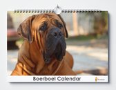 Calendrier Boerboel 35x24 cm | Calendrier des anniversaires chiens Boerboel | Calendrier Anniversaire Adultes
