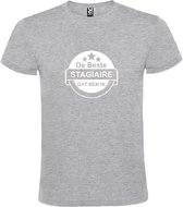 Grijs T shirt met print van " De Beste Stagiaire dat ben ik " print Wit size XXL