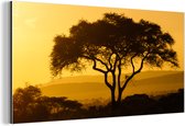 Wanddecoratie Metaal - Aluminium Schilderij Industrieel - Gele lucht boven het Nationaal park Serengeti in Tanzania - 80x40 cm - Dibond - Foto op aluminium - Industriële muurdecoratie - Voor de woonkamer/slaapkamer