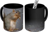 Magische Mok - Foto op Warmte Mok - Eekhoorn met noot - 350 ML - Uitdeelcadeautjes