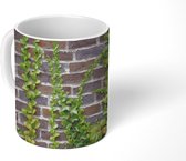 Mok - Een hedera klimop op de muur van een huis - 350 ML - Beker - Uitdeelcadeautjes