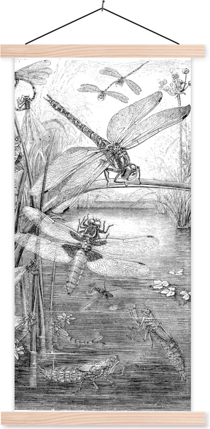 Support pour affiche avec affiche 40x80 cm - Affiche scolaire - Illustration en noir et blanc de quelques libellules - Affiche textile - Lattes vierges