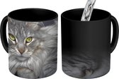Magische Mok - Foto op Warmte Mok - Een Maine Coon kat - 350 ML - Uitdeelcadeautjes
