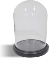 Ronde Stolp-Vitrine Medium | H22cm x Ø17,5 cm  | Glas | Transparant - Zwart