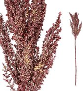 PTMD Leaves Plant Pampas Gras Kunsttak - 34 x 10 x 83 cm - Bordeaux