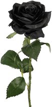 Viv! Home Luxuries Roos - zijden bloem - zwart - topkwaliteit
