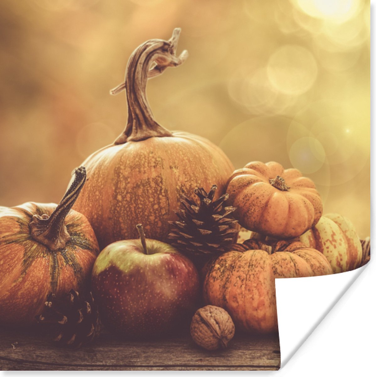 Poster Pompoen - Herfst - Dennenappel - Fruit - Appel - 75x75 cm