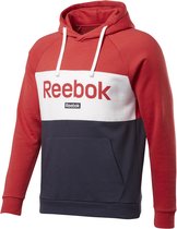 Te Big Logo Oth Hoodie