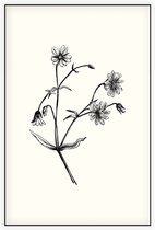 Grote Muur zwart-wit (Greater Stitchwort) - Foto op Akoestisch paneel - 150 x 225 cm