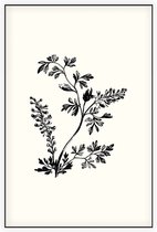 Duivenkervel zwart-wit (Furmitory) - Foto op Akoestisch paneel - 60 x 90 cm