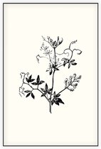 Rankende Helmbloem zwart-wit (Climbing Corydalis) - Foto op Akoestisch paneel - 80 x 120 cm