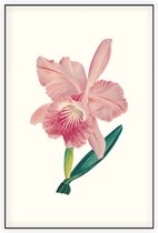 Orchidee Aquarel 3 (Orchid) - Foto op Akoestisch paneel - 100 x 150 cm