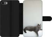 Bookcase Geschikt voor iPhone 7 telefoonhoesje - Kat - Britse Korthaar - Grijs - Meisjes - Kinderen - Jongens - Kids - Met vakjes - Wallet case met magneetsluiting