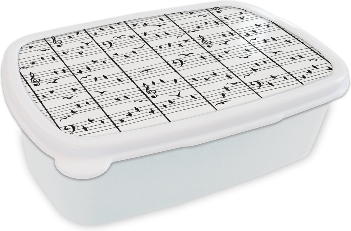 Broodtrommel Wit - Lunchbox - Brooddoos - Patroon - Vogel - Muziek - 18x12x6 cm - Volwassenen