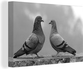 Peinture sur toile Deux pigeons sur fond flou - noir et blanc - 120x80 cm - Décoration murale Art