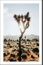 Walljar - Woestijn landschap - Muurdecoratie - Poster met lijst