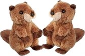 2x stuks pluche bruine bever knuffel 15 cm - Bevers knaagdieren knuffels - Speelgoed knuffeldieren/knuffelbeest voor kinderen