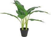 kunstplant Dieffenbachia 30 x 60 cm groen