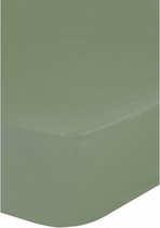 hoeslaken Jersey 180 x 220 cm katoen groen