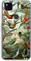 Case Company® - Google Pixel 4a 5G hoesje - Haeckel Trochilidae - Soft Cover Telefoonhoesje - Bescherming aan alle Kanten en Schermrand