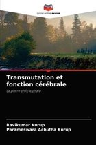 Transmutation et fonction cerebrale