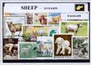 Afbeelding van het spelletje Schapen – Luxe postzegel pakket (A6 formaat) - collectie van 25 verschillende postzegels van schapen – kan als ansichtkaart in een A6 envelop. Authentiek cadeau - kado - kaart - Ovis - hoefdieren - moflon - argali - bokken - boerderij - dieren