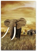 Abstract Zwart Wit Safari Dier Print Poster Wall Art Kunst Canvas Printing Op Papier Living Decoratie 60X100cm Multi-color