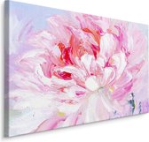 Schilderij - Pinkster roos, print op  canvas, premium print , Wanddecoratie