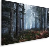 Schilderij - Bos in de mist, premium print, natuur aan de muur