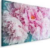 Schilderij - Pioen rozen , print op  canvas, premium print , Wanddecoratie