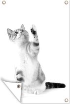 Tuinposters buiten Spelende kat op witte achtergrond - zwart wit - 60x90 cm - Tuindoek - Buitenposter