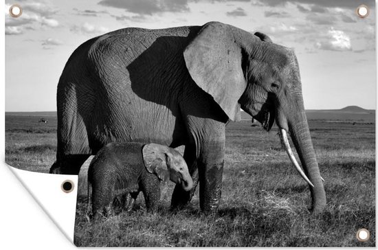 Tuindecoratie Moeder en baby olifant door de savanne - zwart wit - 60x40 cm - Tuinposter - Tuindoek - Buitenposter