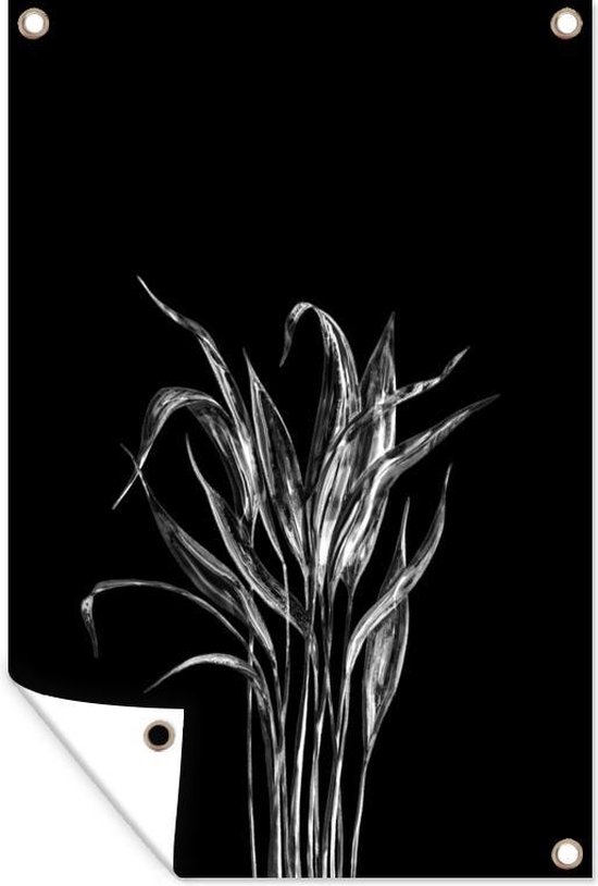 Muurdecoratie Lange dunne bladeren op een zwarte achtergrond - zwart wit - 120x180 cm - Tuinposter - Tuindoek - Buitenposter