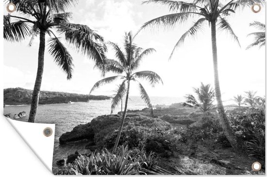 Tuinposters buiten Tropisch landschap met palmbomen in Maui - zwart wit - 90x60 cm - Tuindoek - Buitenposter