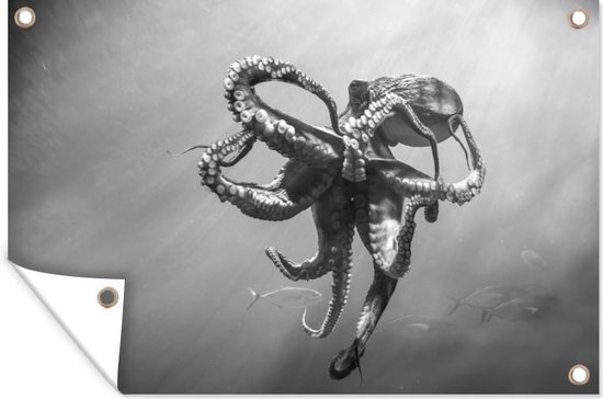 Muurdecoratie Octopus onder het wateroppervlak - zwart wit - 180x120 cm - Tuinposter - Tuindoek - Buitenposter