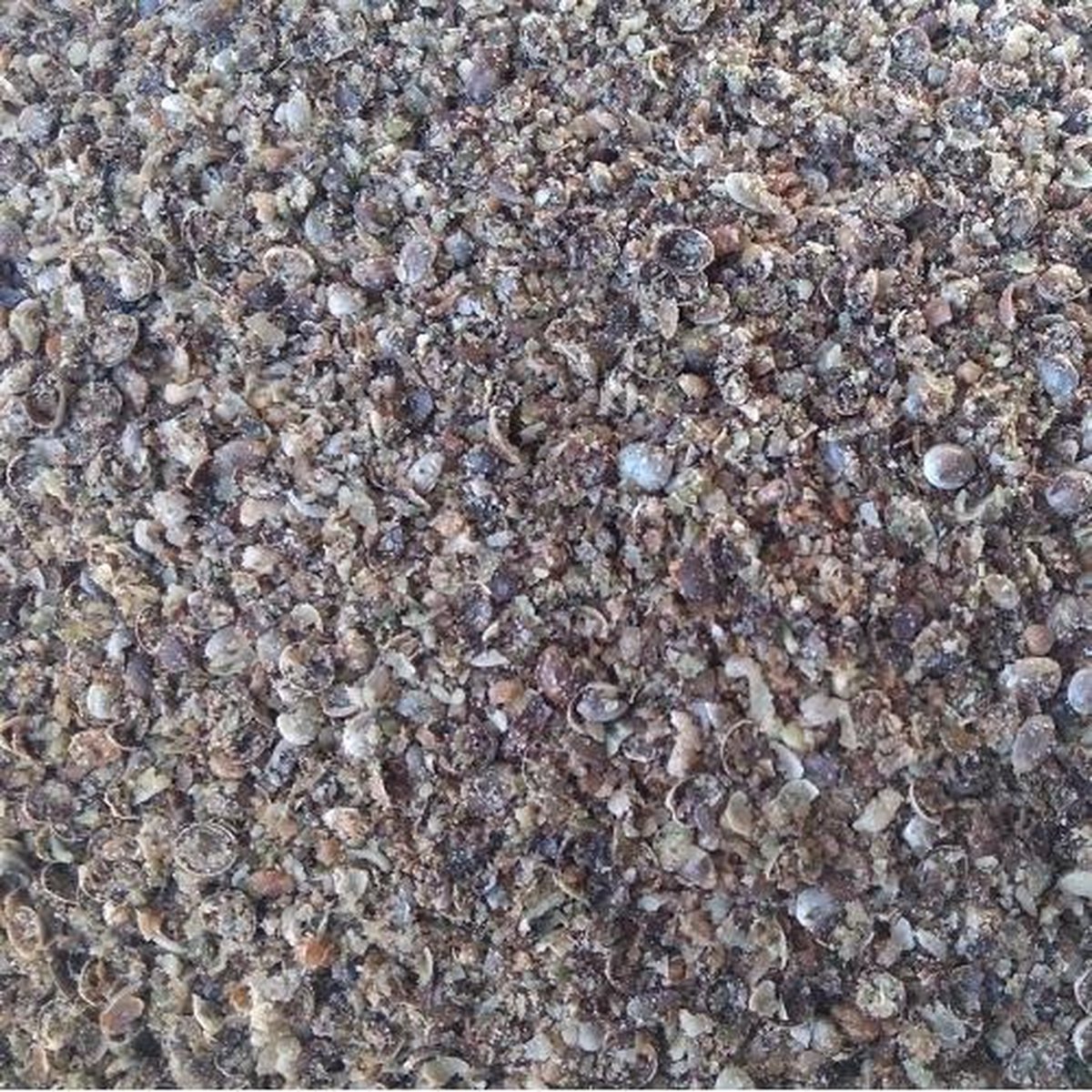 Gemalen Hennep 10KG | Karper aas